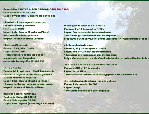 Agenda cultural Cuenca Pirenaica Verano 2026